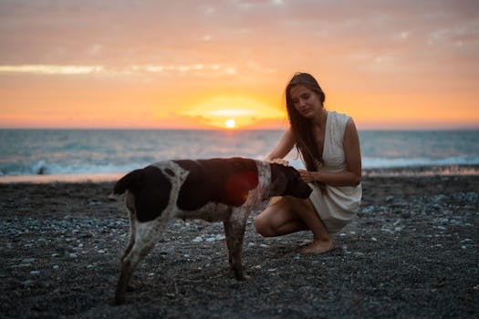 meditation with a pet