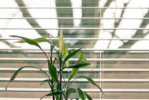 a peaceful workspace with a plant