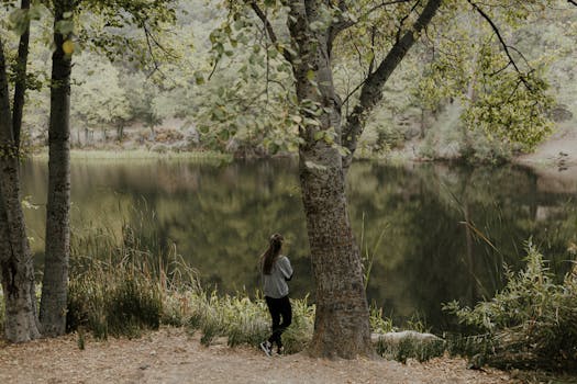 serene lakeside walking path