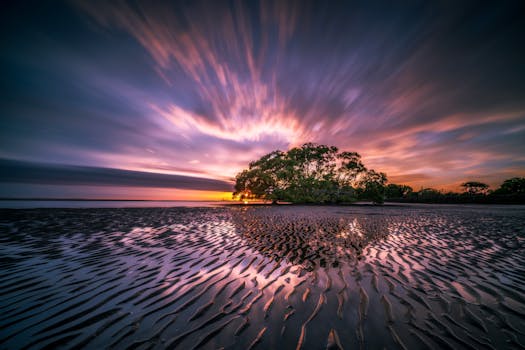 serene beach scene