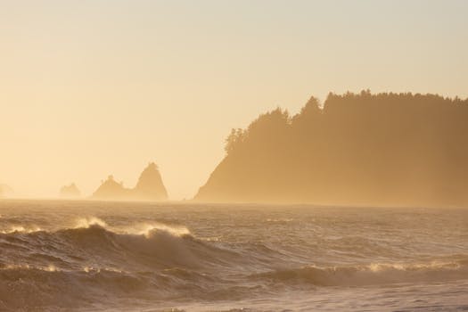 a serene beach scene for visualization