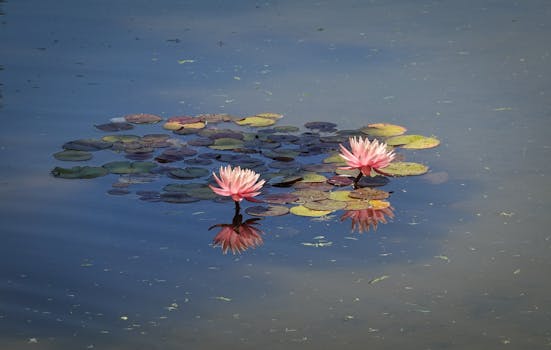 peaceful meditation environment